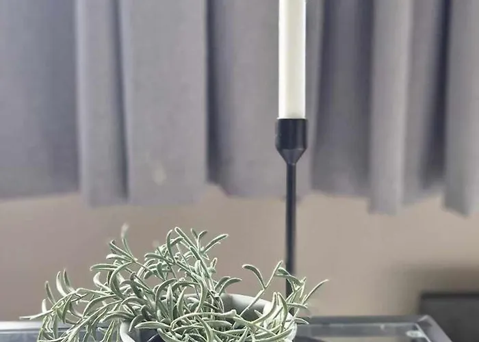 Apartman Elvegata 6, H0404 *